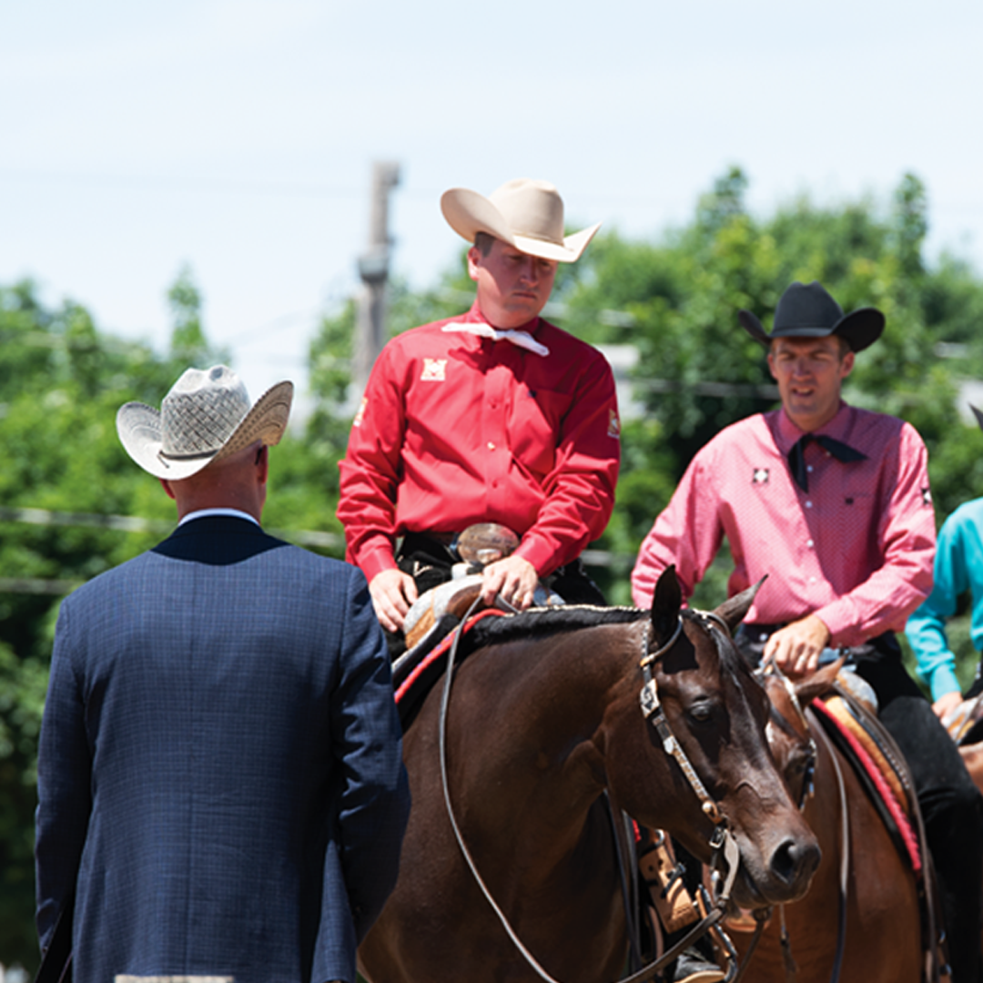 NSBA Works To Establish Specialty Judges Credentials