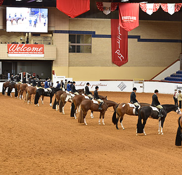Keith Miller Hits Hat Trick As APHA World Show Heads Into Final Week