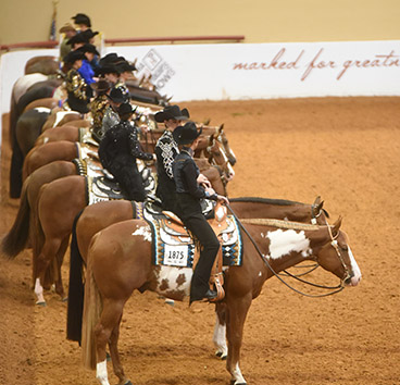 Busy Tuesday In APHA World Show's Justin Arena