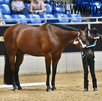 Putting The Show In Showmanship