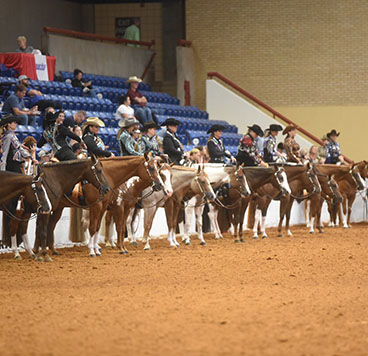 Big Payouts Highlight Saturday’s APHA World Show Classes