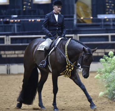 Closing The Curtain On The 2022 NSBA World Championship Show 