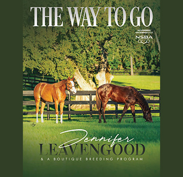 The November-December Issue of The Way To Go is now Online!